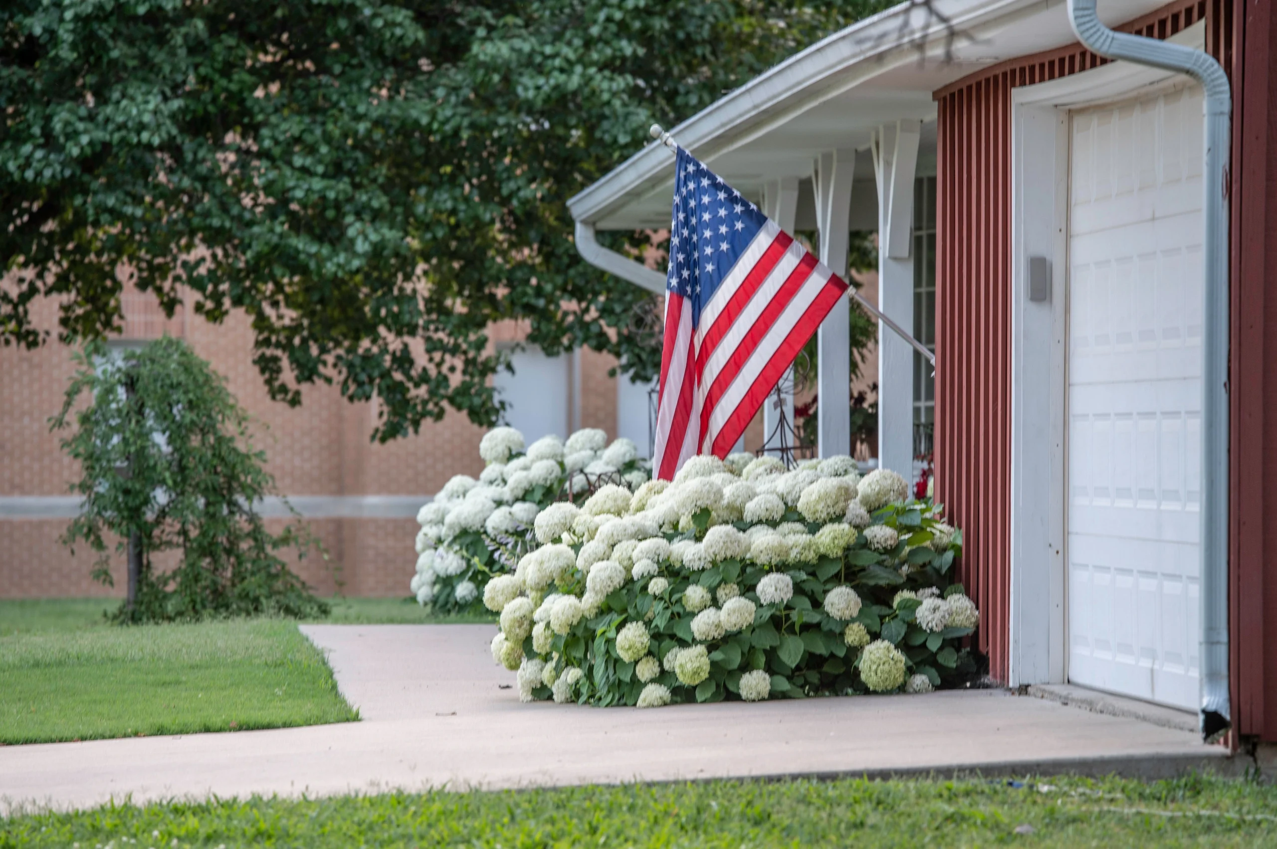 American flag and white hydrangeas at the entrance of a traditional Hamptons home